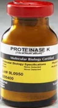 PROTEINASA K IBI SCIENTIFIC